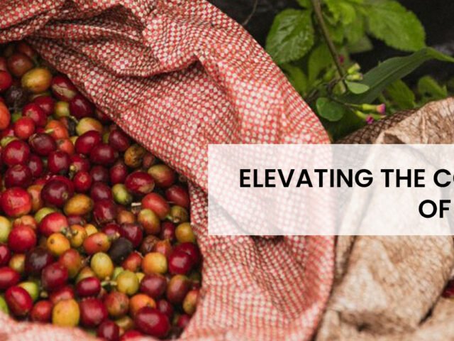 Elevating The Coffee Culture Of North Bengal